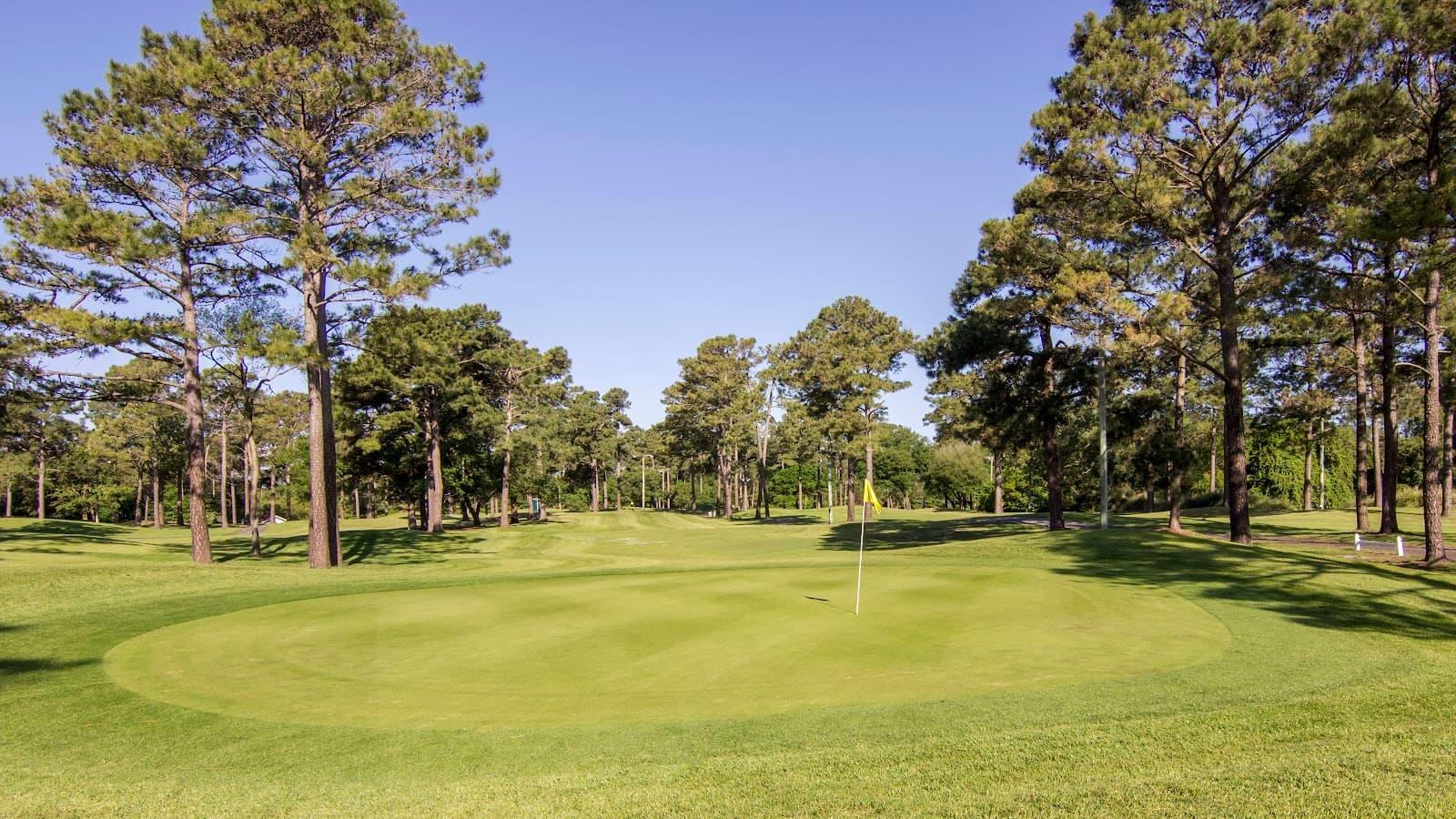 Harbour View Golf