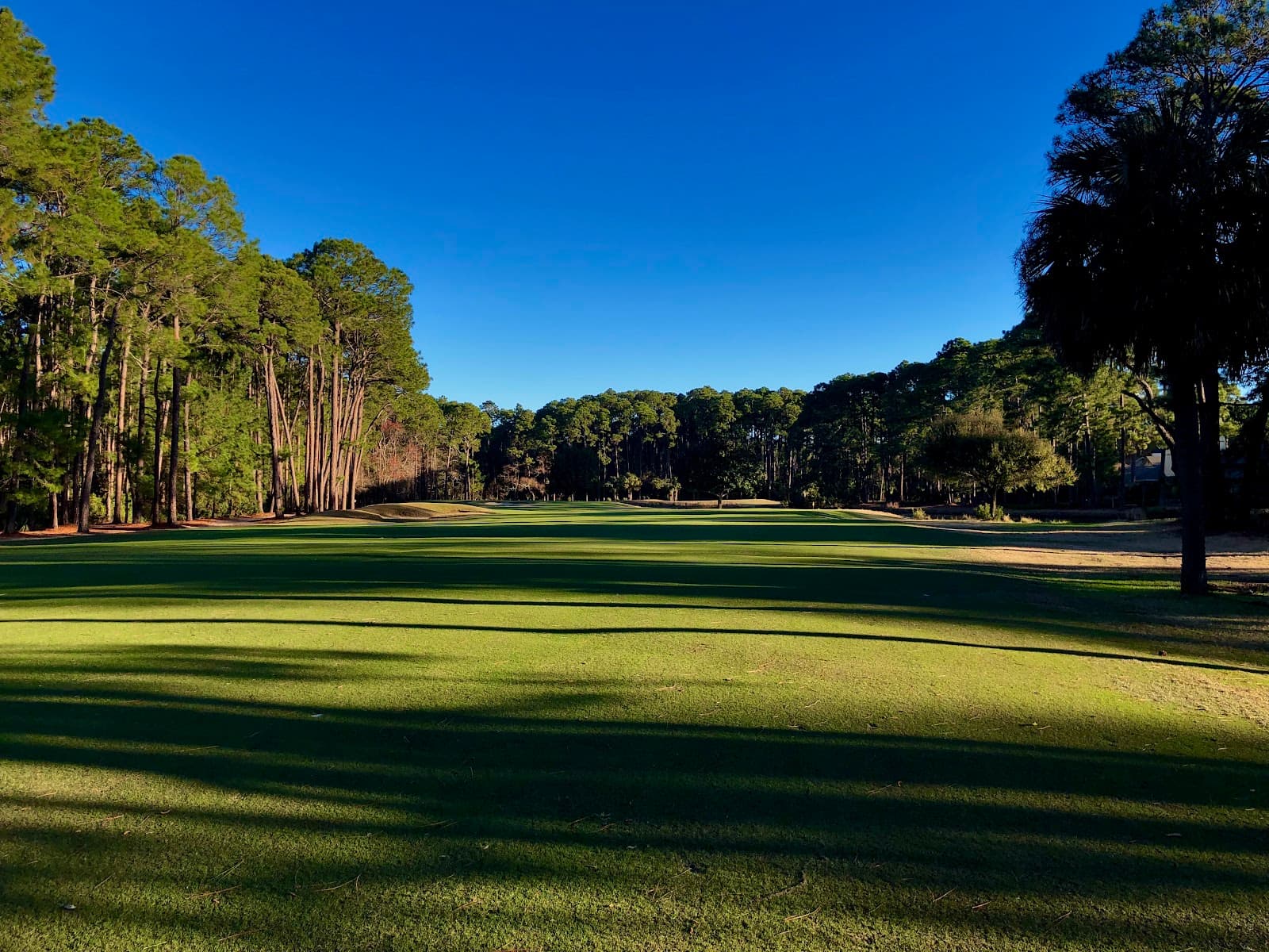 Bear Creek Golf Club
