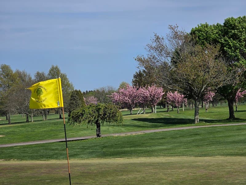 Cherry Creek Golf Links - premium view