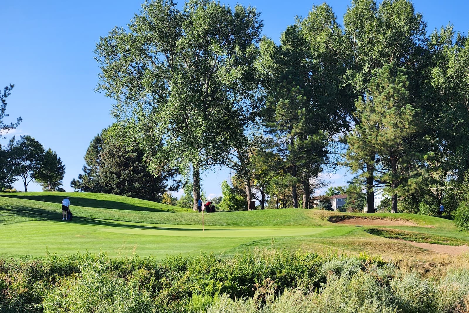 Links Golf Course - premium view