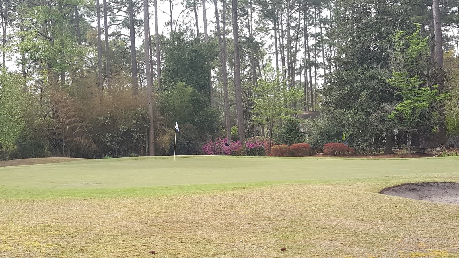Lady's Island Country Club - premium view