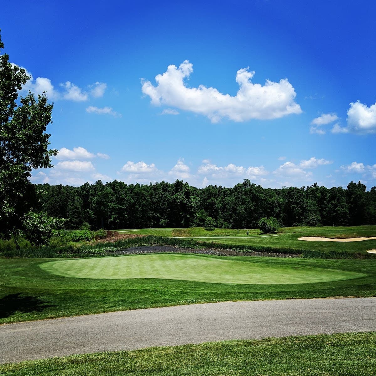 Bear Trace At Cumberland Mountain (TN Golf Trail) - Official facility view