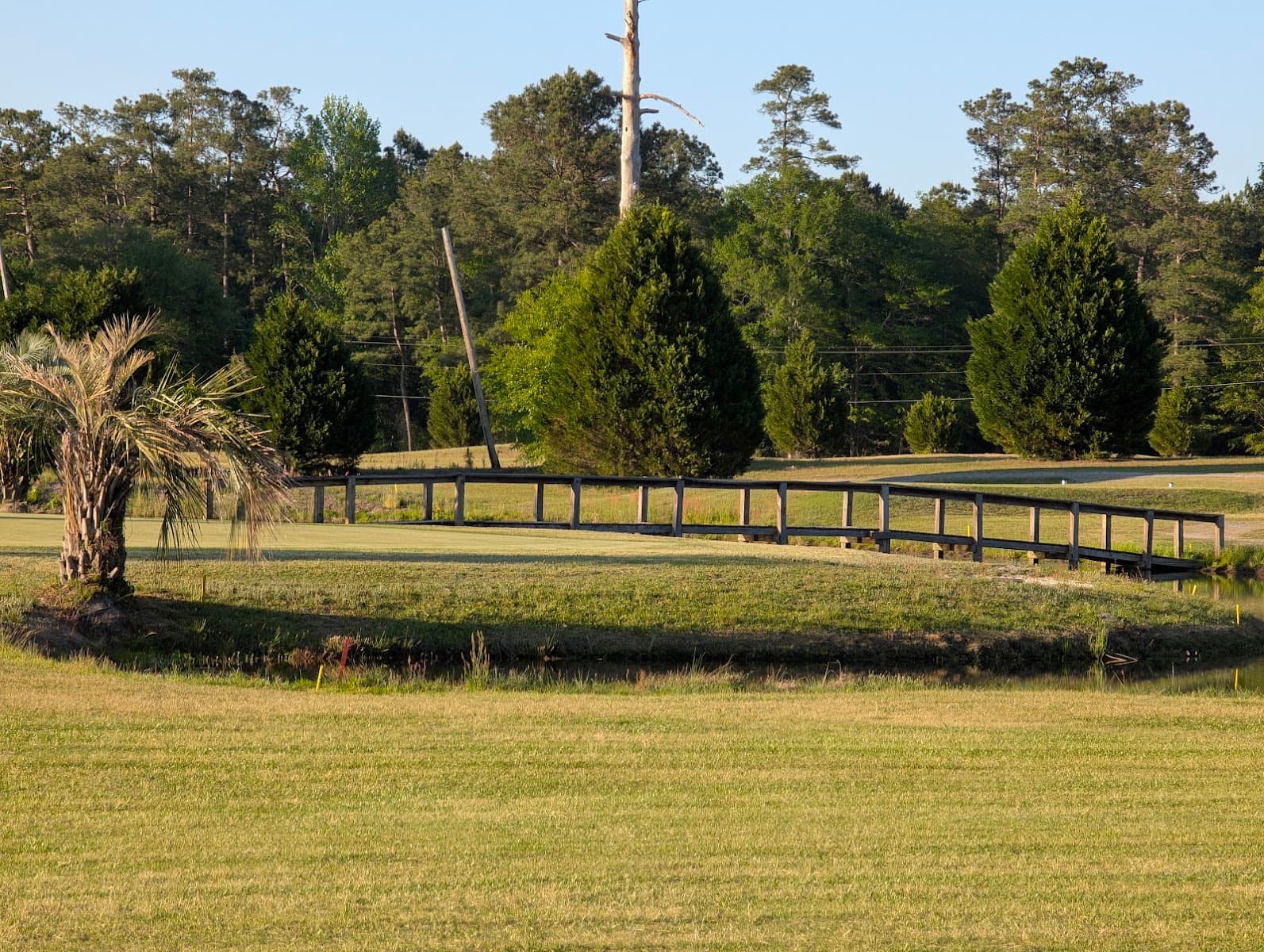 Shannon Greens Golf Club