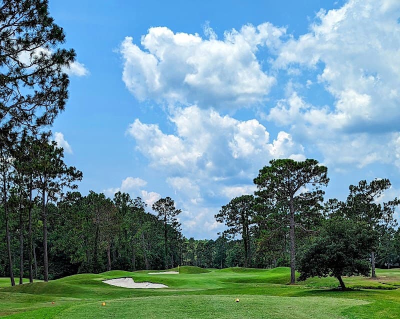The Club at Pine Forest