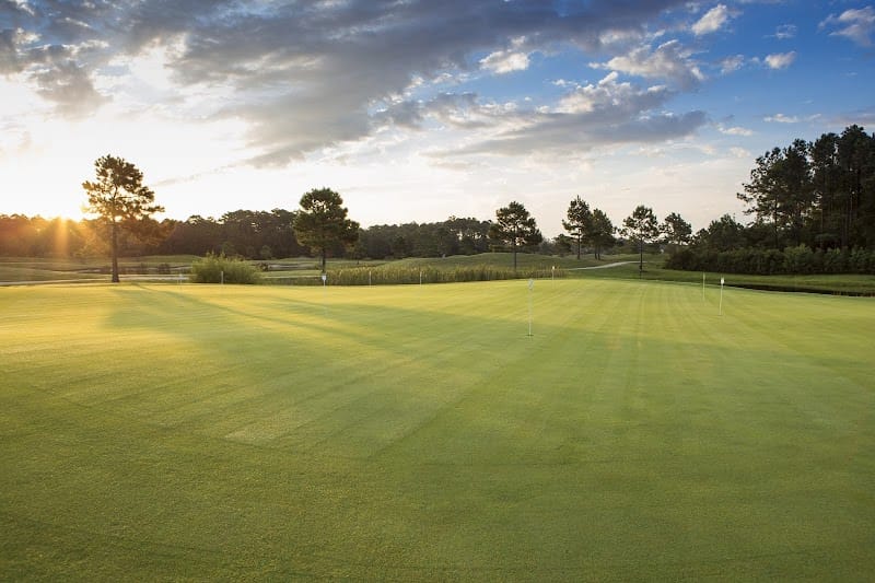 The Beaufort Club