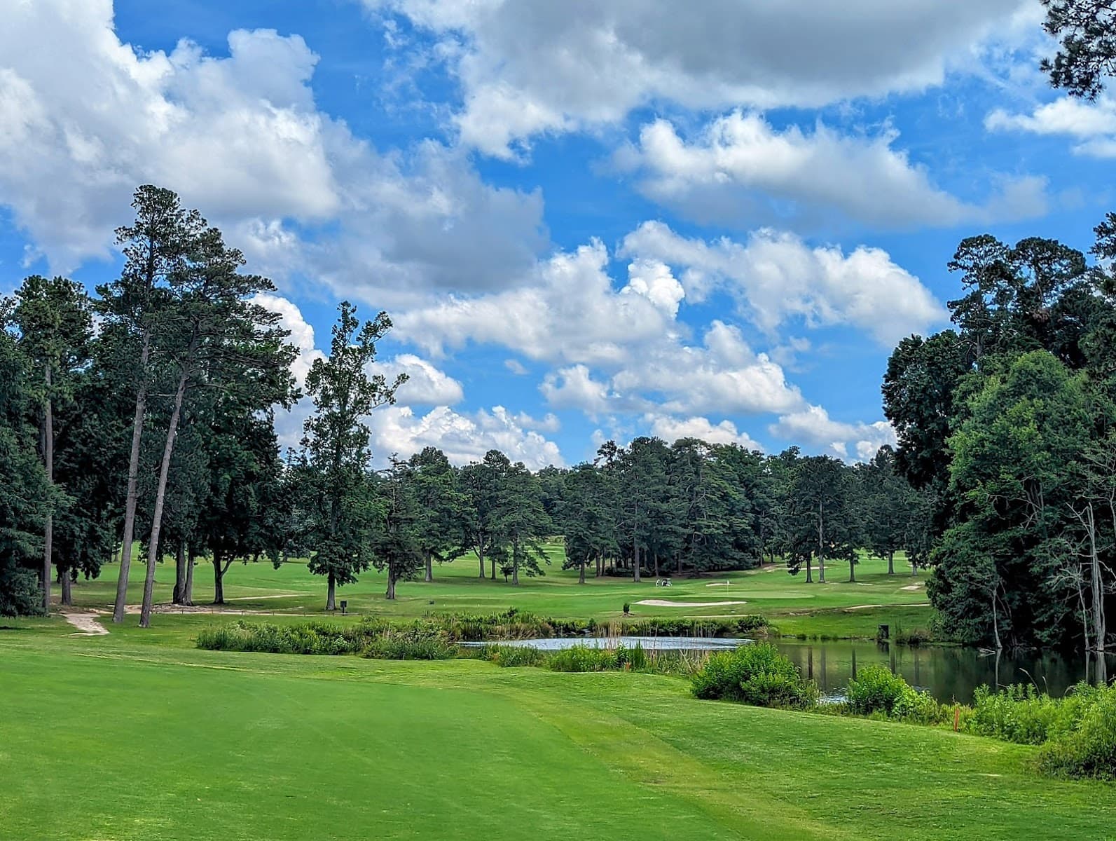 Palmetto Golf Club
