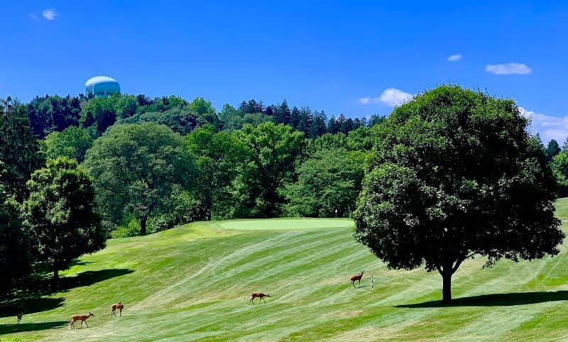 Crispin Golf Course At Oglebay Resort