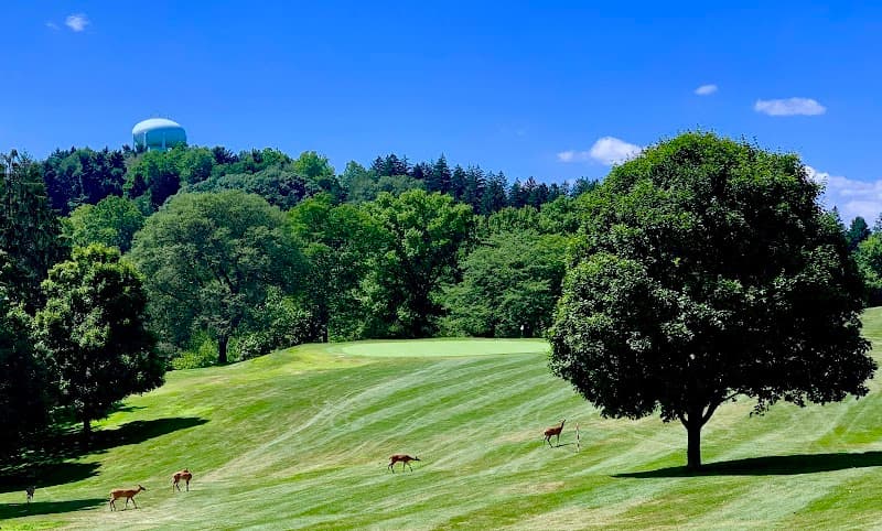 Crispin Golf Course At Oglebay Resort - hero image